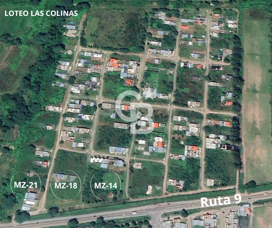image 6