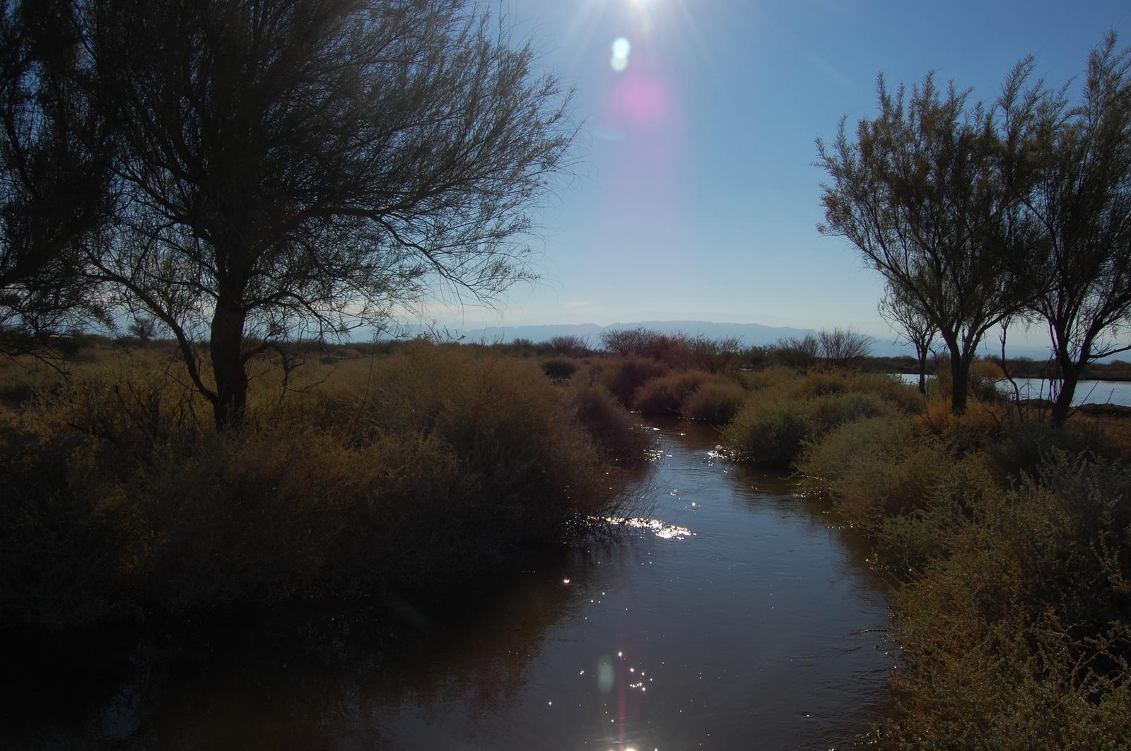 CAMPO AGRÍCOLA GANADERO EN VENTA MENDOZA - 3
