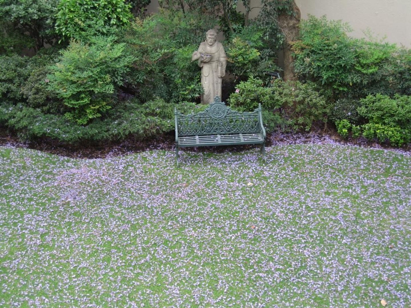 image 13