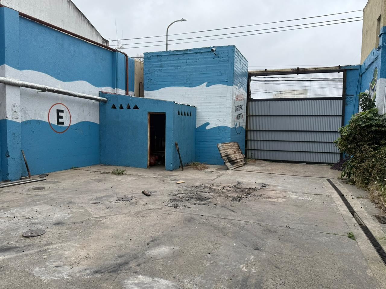 image 15
