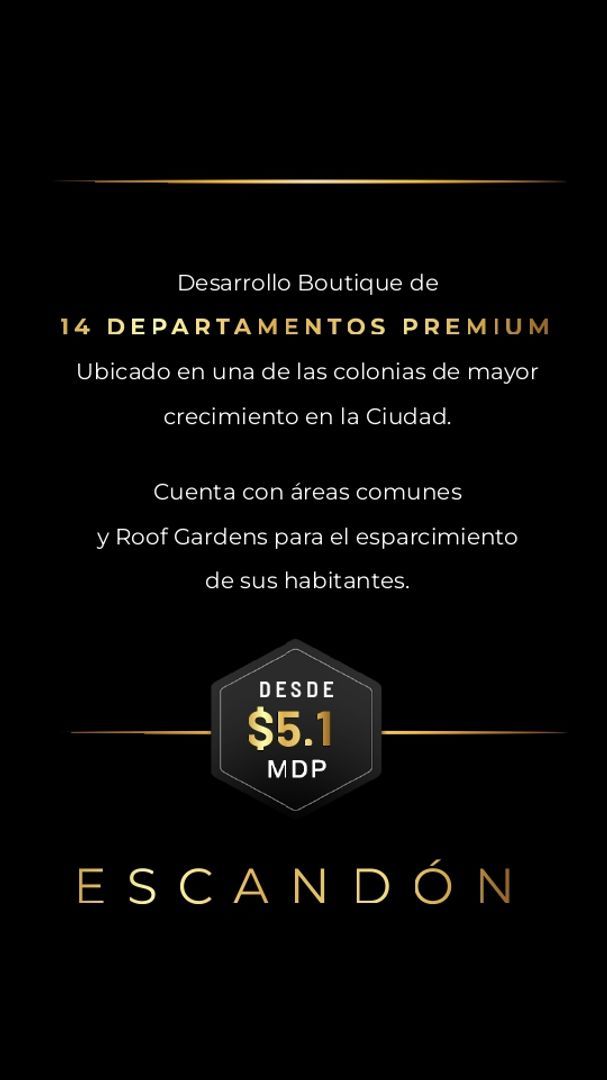 Comercio 51 - descripcion.jpg