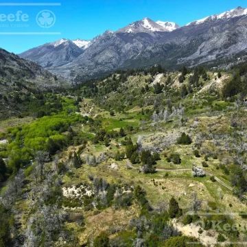 Campo en venta 150 has con Rio en  Cuesta del Ternero, Rio Negro