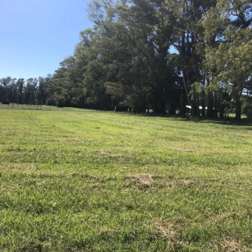 1780442749.jpg