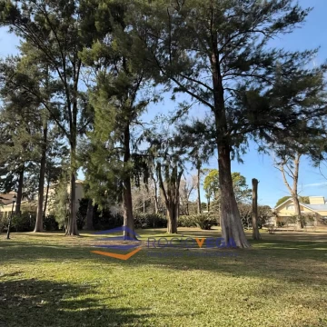 1780442778.jpg