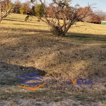 1780485867.jpg