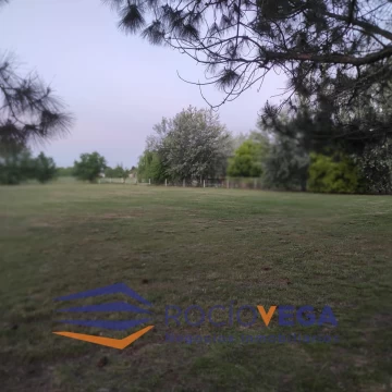 1780485877.jpg