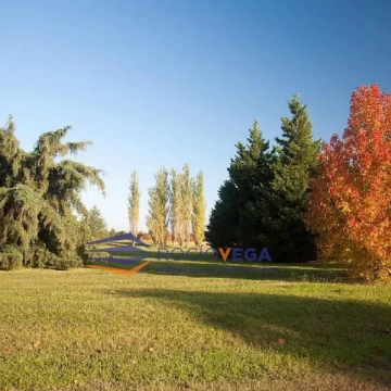 1780485880.jpg