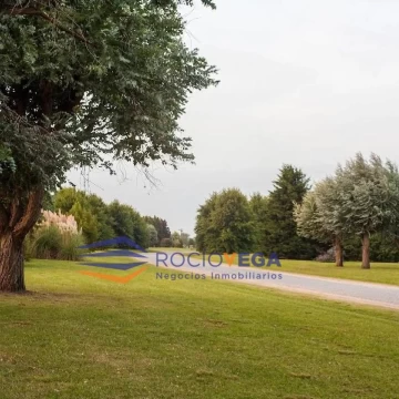 1780485880.jpg