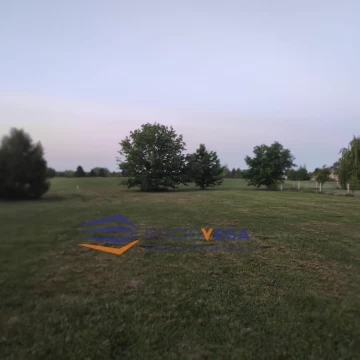 1780485881.jpg