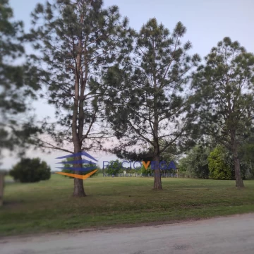 1780485881.jpg
