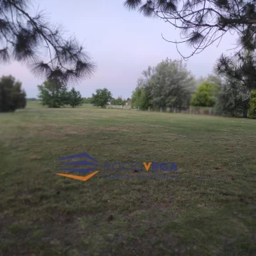1780485882.jpg