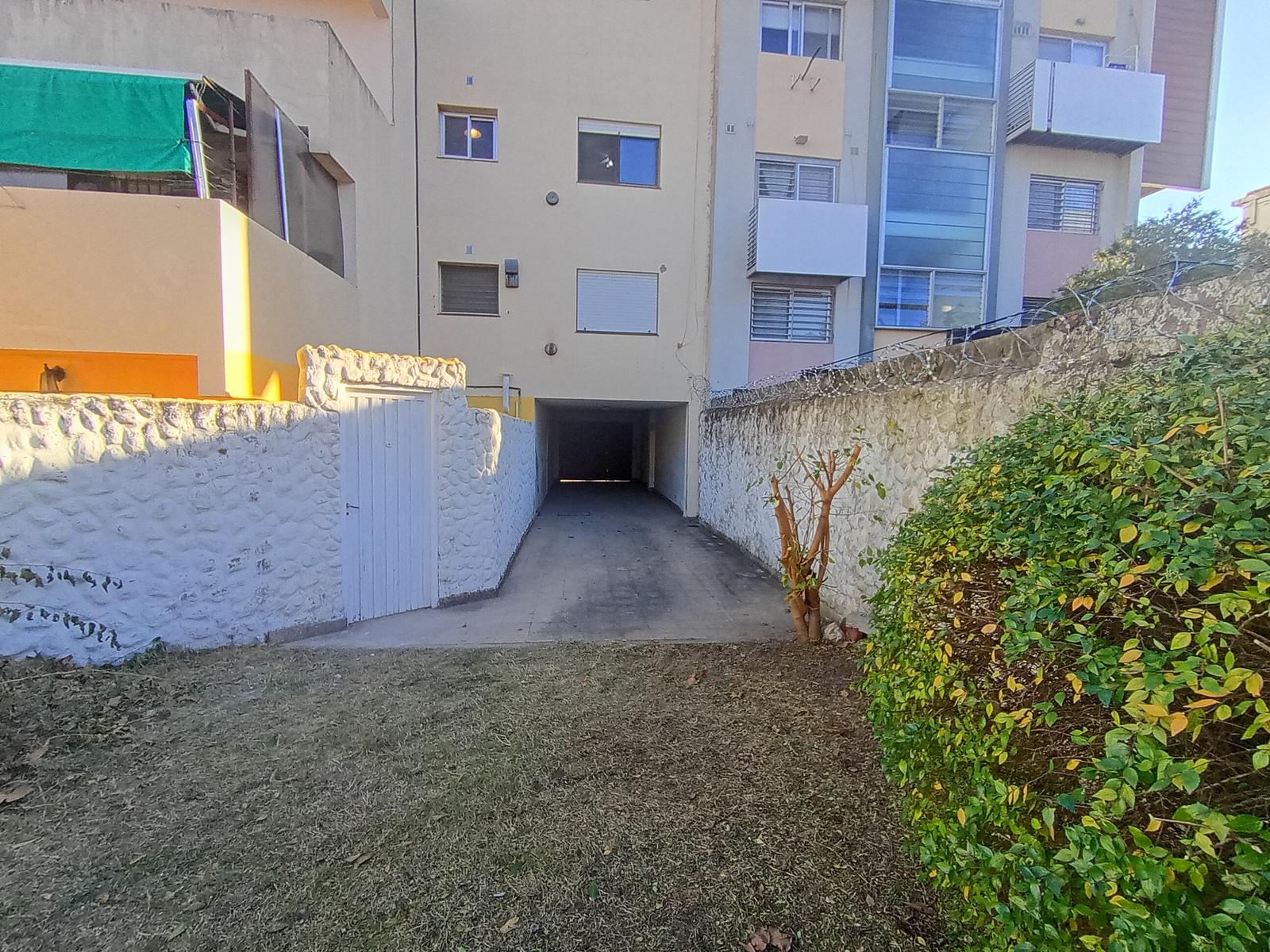 Vista desde el patio trasero