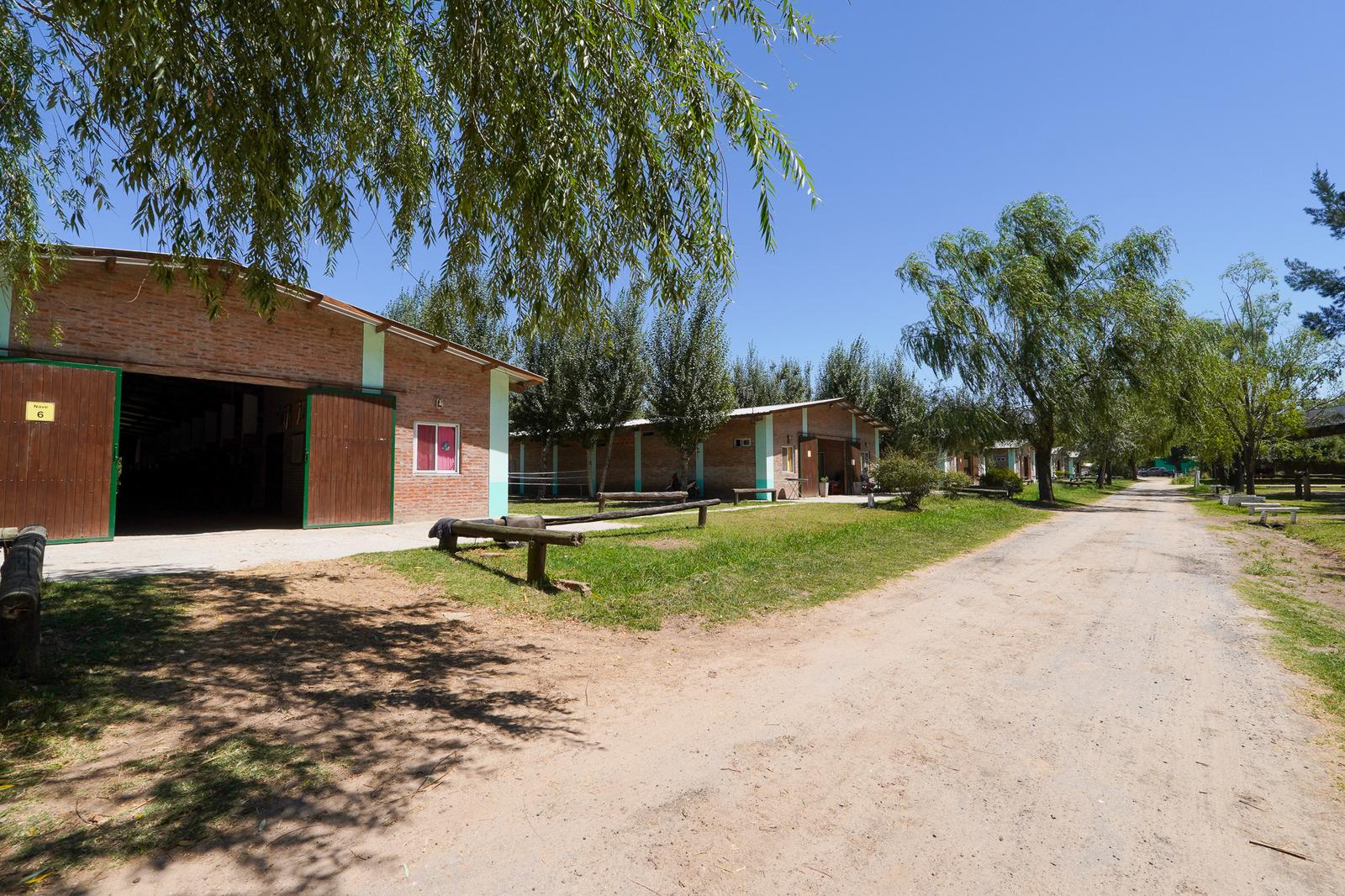 image 28