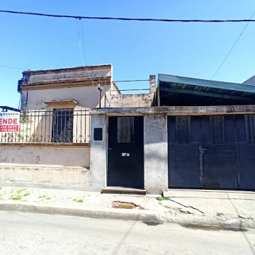 Bacaris 71