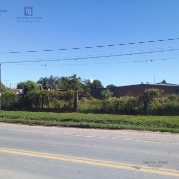 Terreno - Nelson