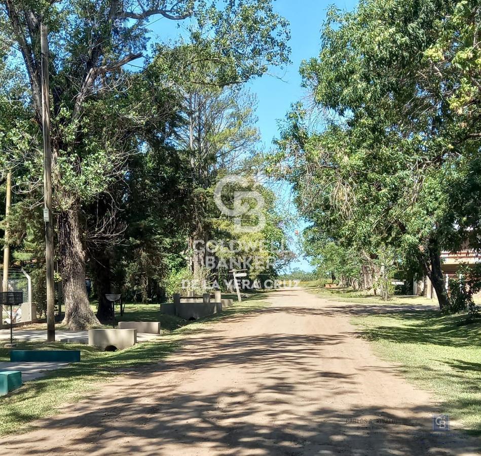 Foto desde frente al terreno hacia el rio