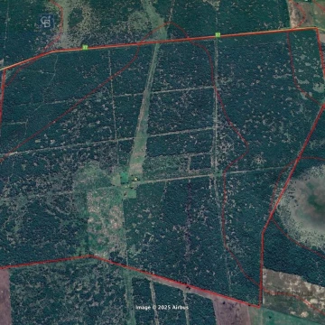 Campo de 811 hectareas en La Gallareta