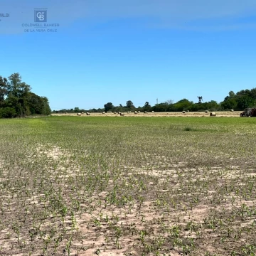 Campo en Pueblo Candioti