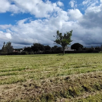 Terreno en venta Country Las Delicias