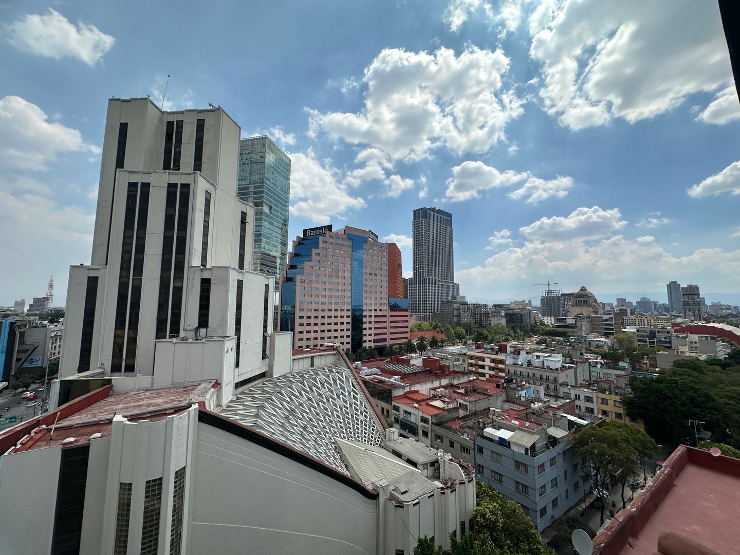 IMG_8195.jpeg