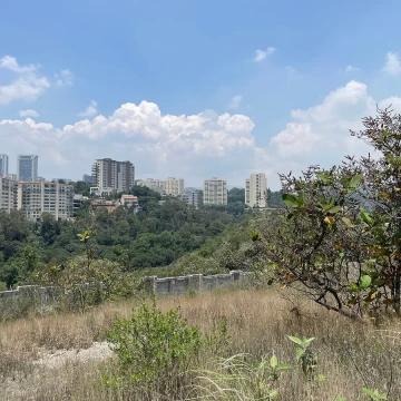 Venta terreno en bosque real