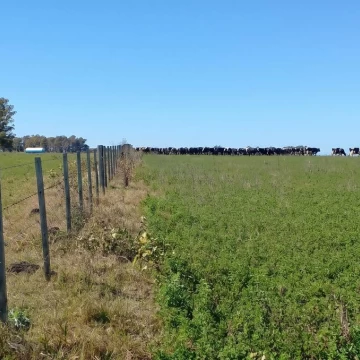 Campo en Santa Catalina