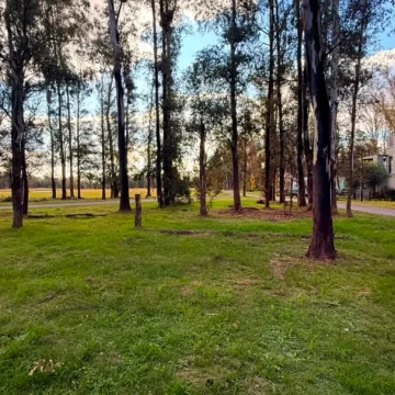 LOTE EN VENTA EN CAMPO TIMBÓ – OLIVEROS
