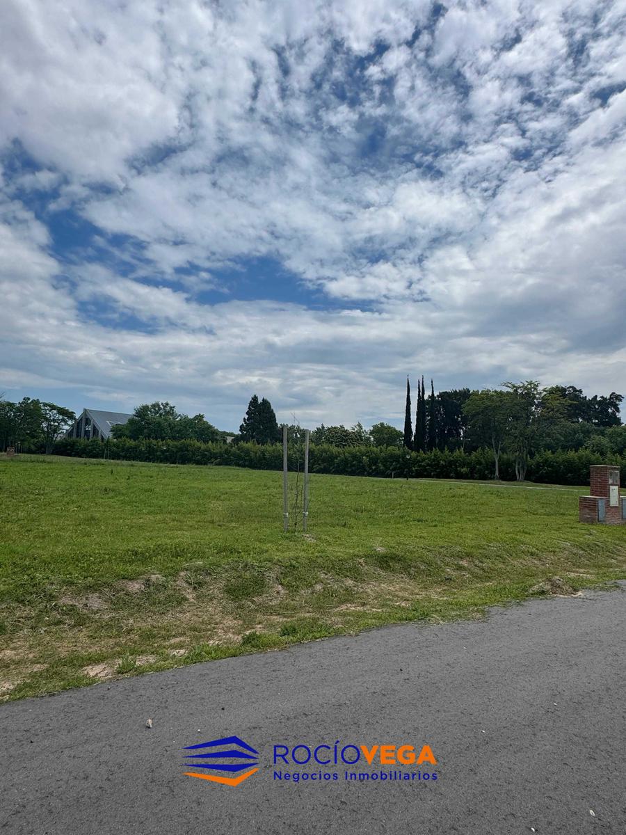 image 16
