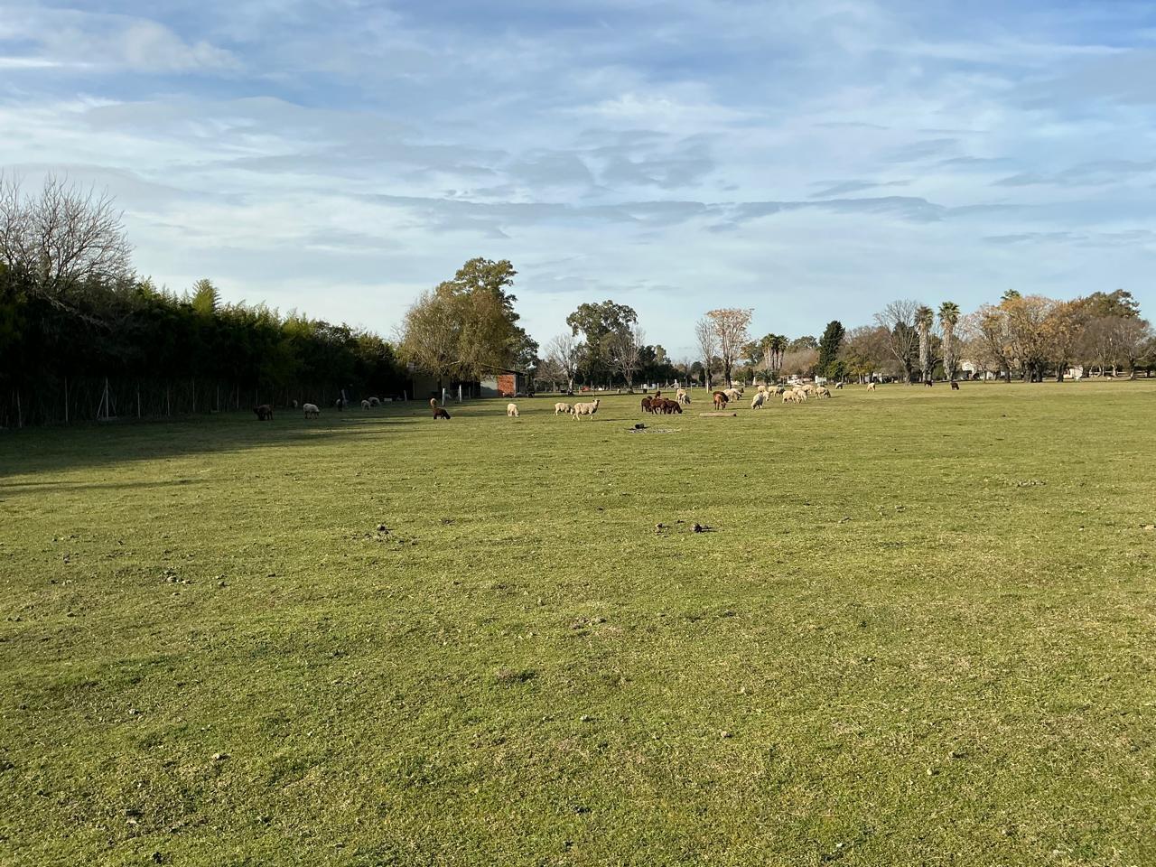 image 14