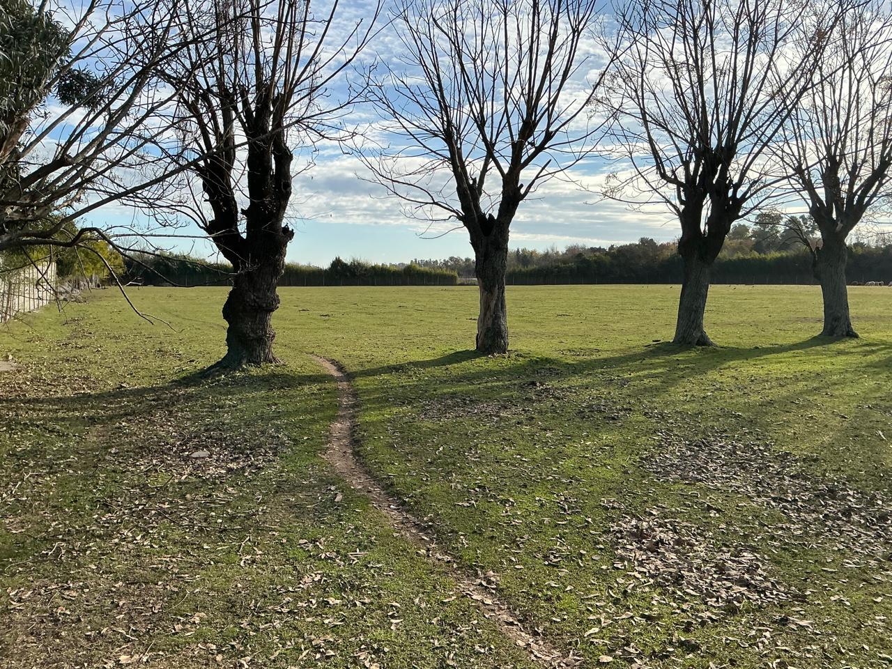 image 16