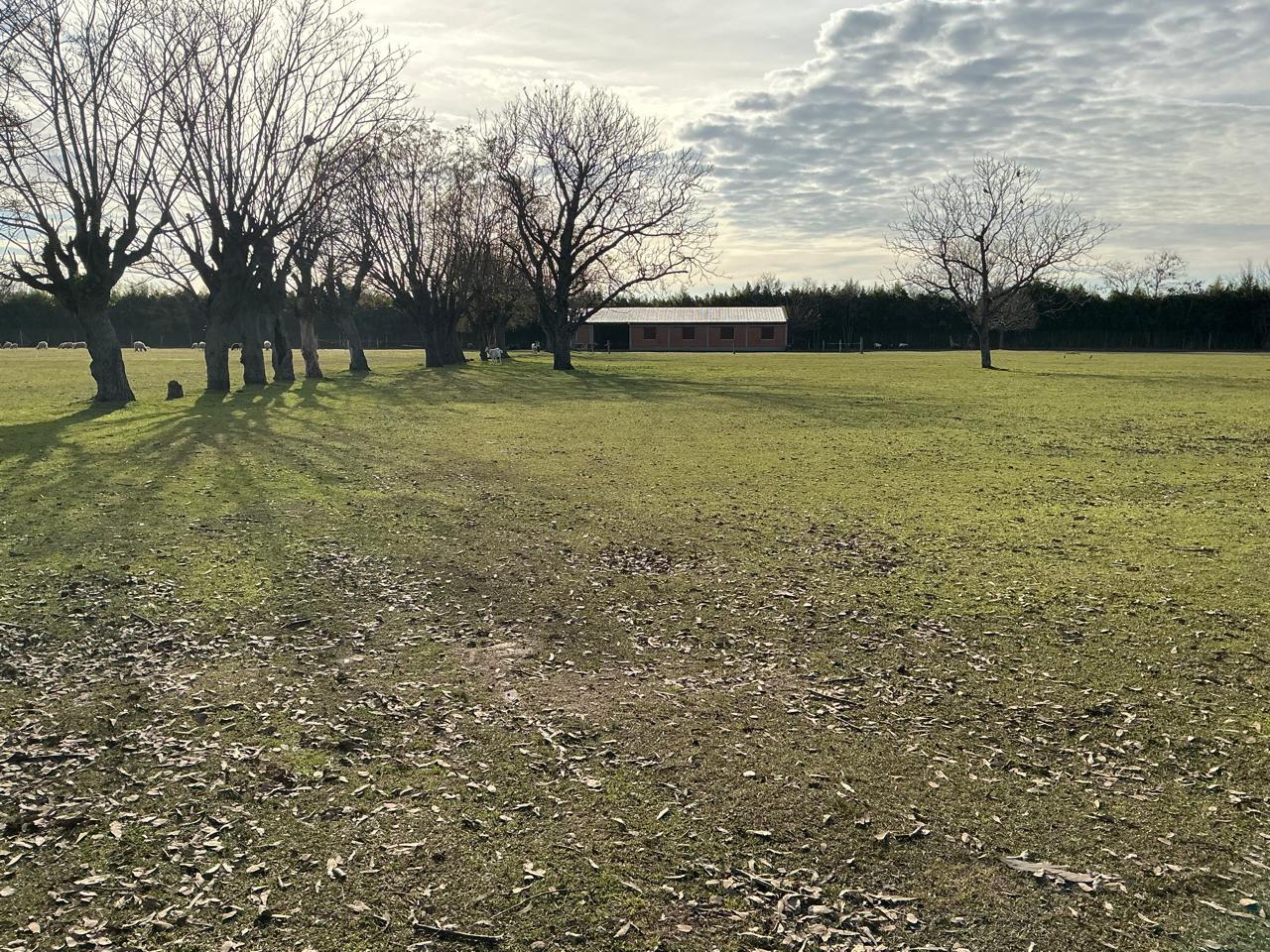 image 18