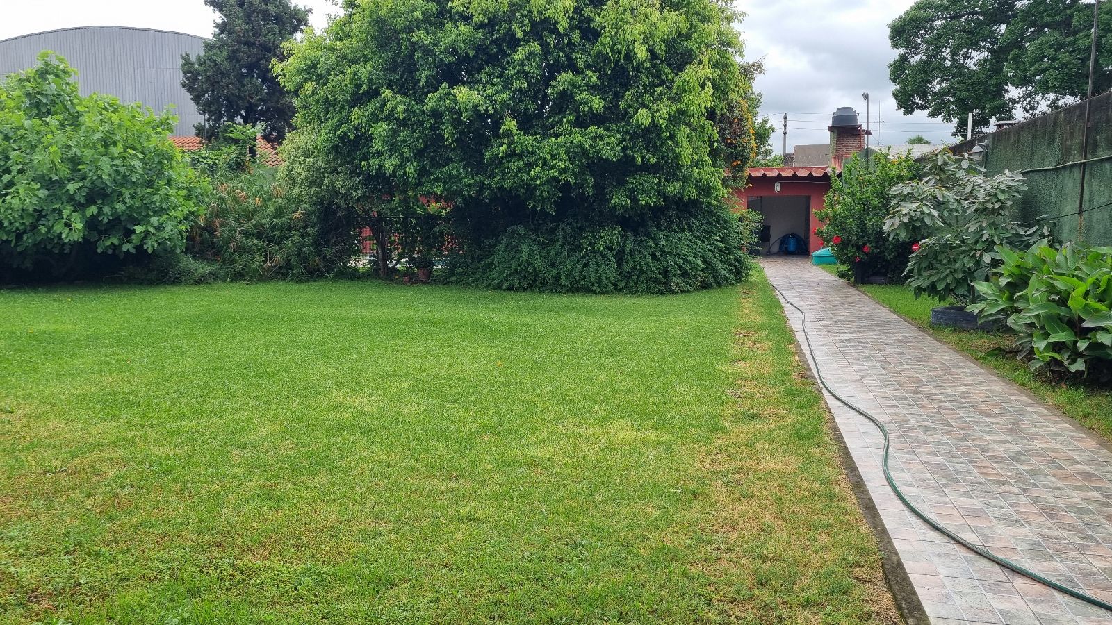 image 31