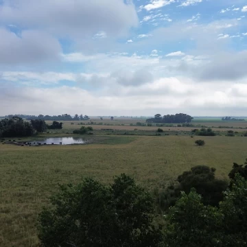CAMPO EN VENTA CON MEJORAS CERCADO TOTALMENTE Y DOS ACCESOS POR RUTA 41 Y POR RUTA 3