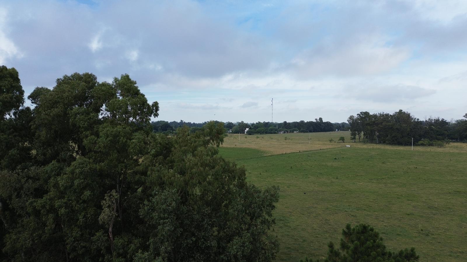 image 14