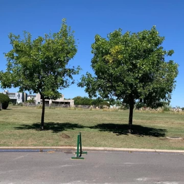 Lote a la venta en San Sebastian - Barrio Cerrado (Escobar)