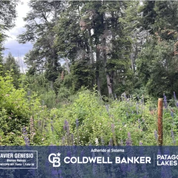 VENTA Lote | Terreno 3000m2 UF 4 Villa La Angostura Acceso al lago