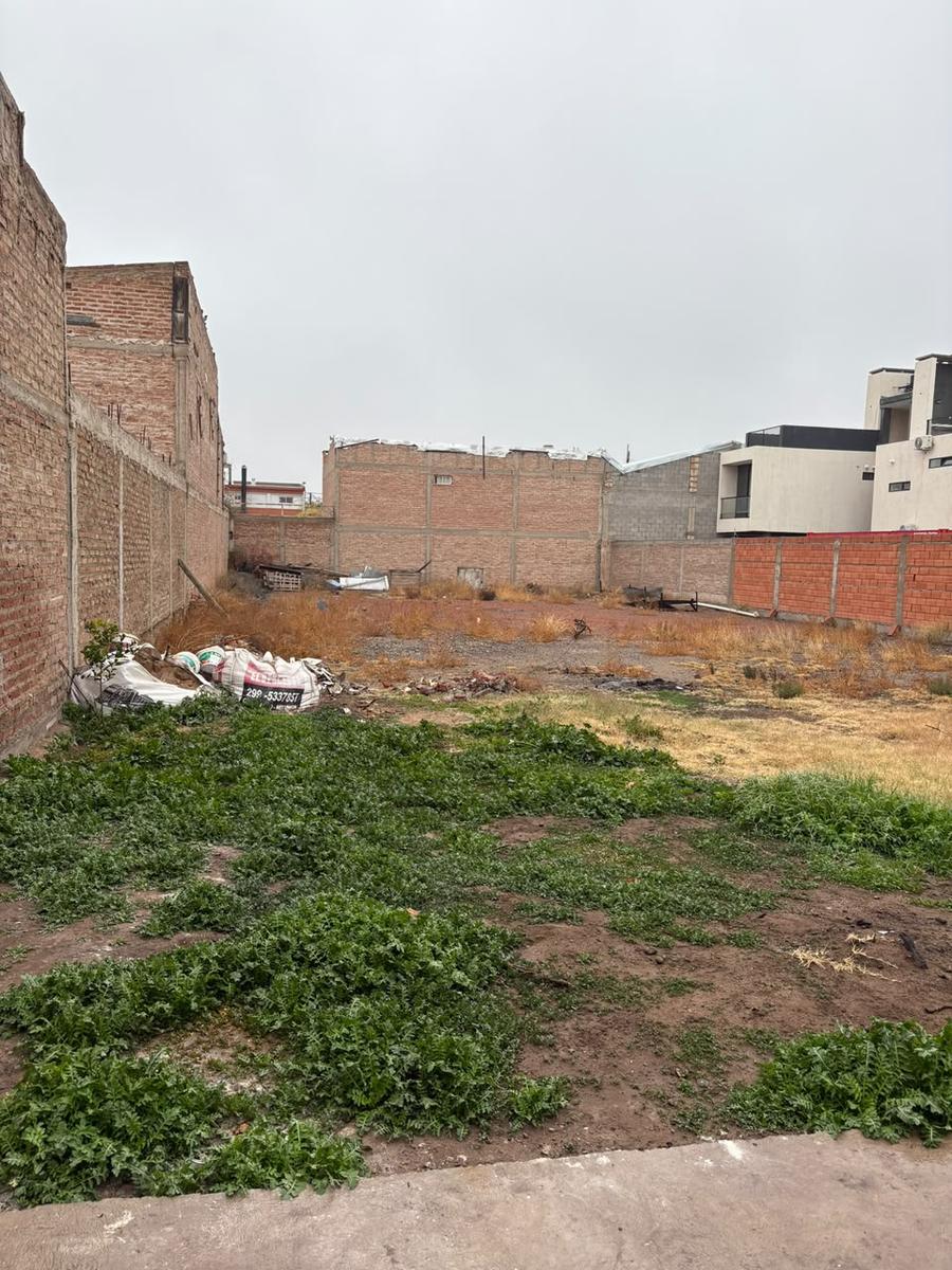 image 14
