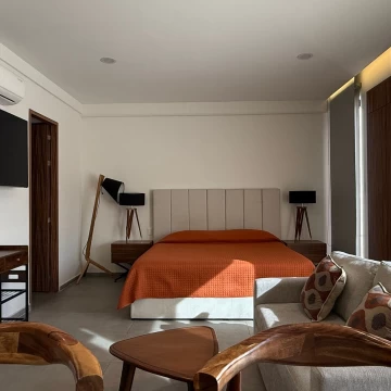  Loft amueblado de 1 Recámara en BRASILIA10
