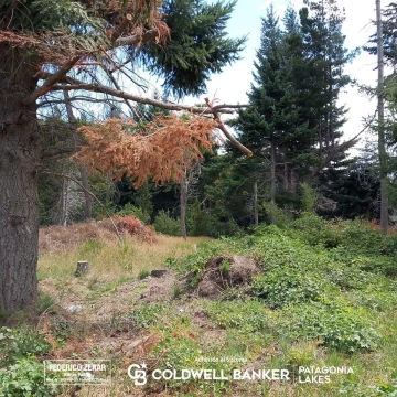 ¡Oportunidad!  Lote de 939m2 en venta en Bustillo km 21 Bariloche
