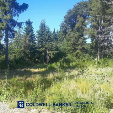 ¡Oportunidad!  Lote de 1753m2 en venta en Bustillo km 21 Bariloche