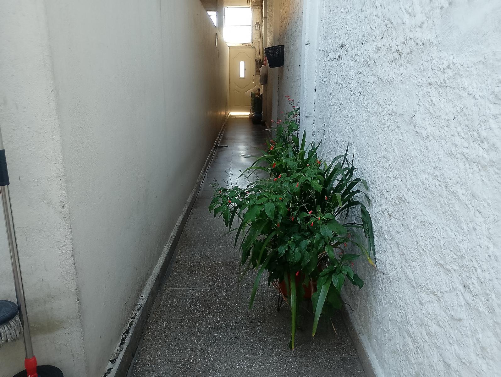 image 26