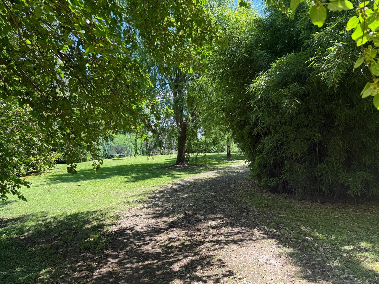 image 25
