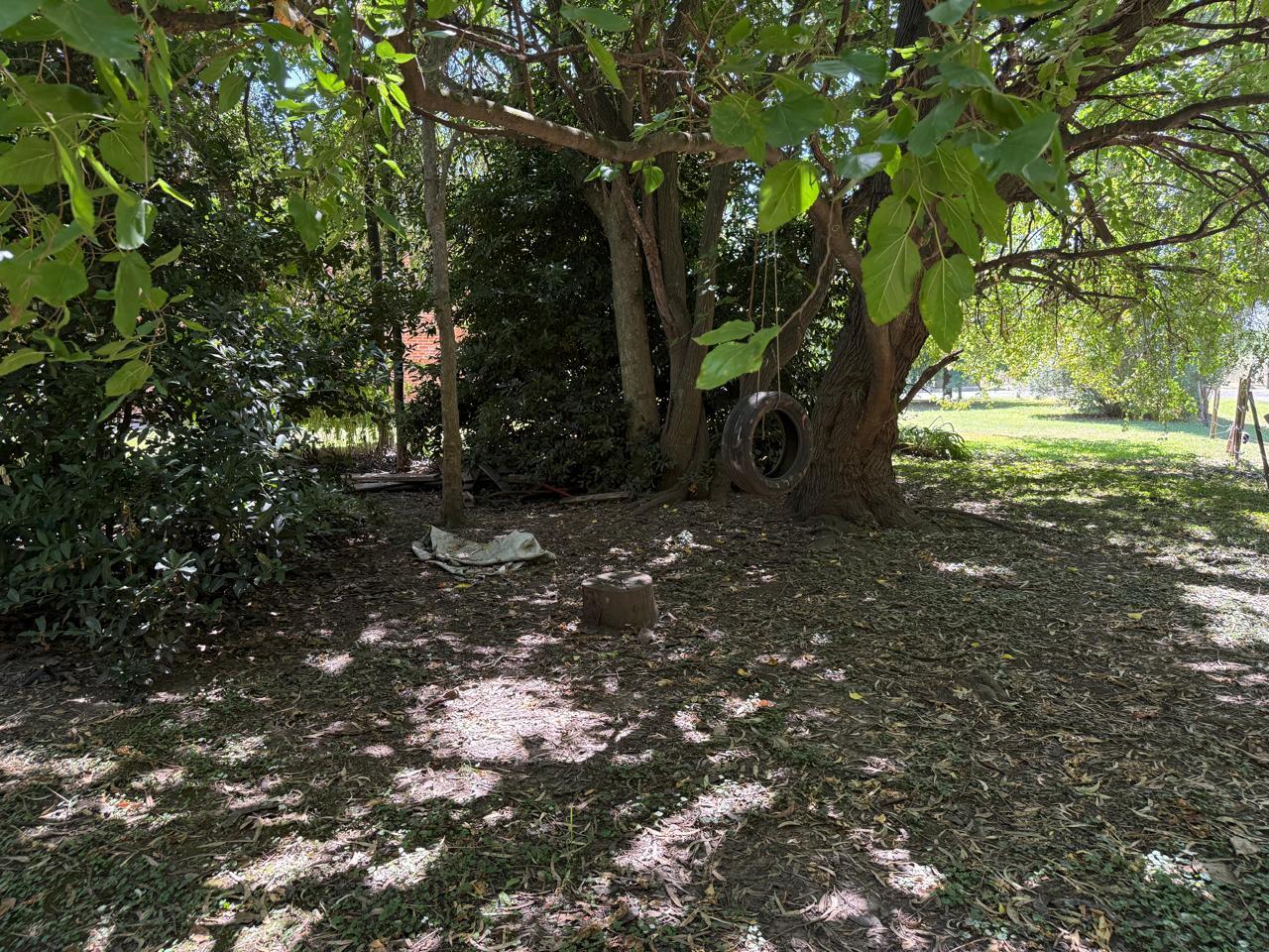 image 29