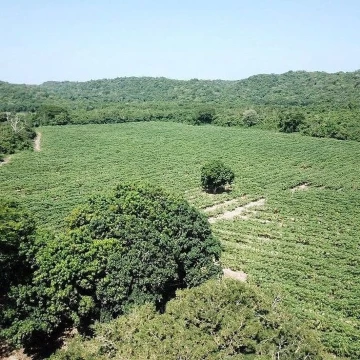 TERRENO EN VENTA DE 30 HA EN HUATULCO