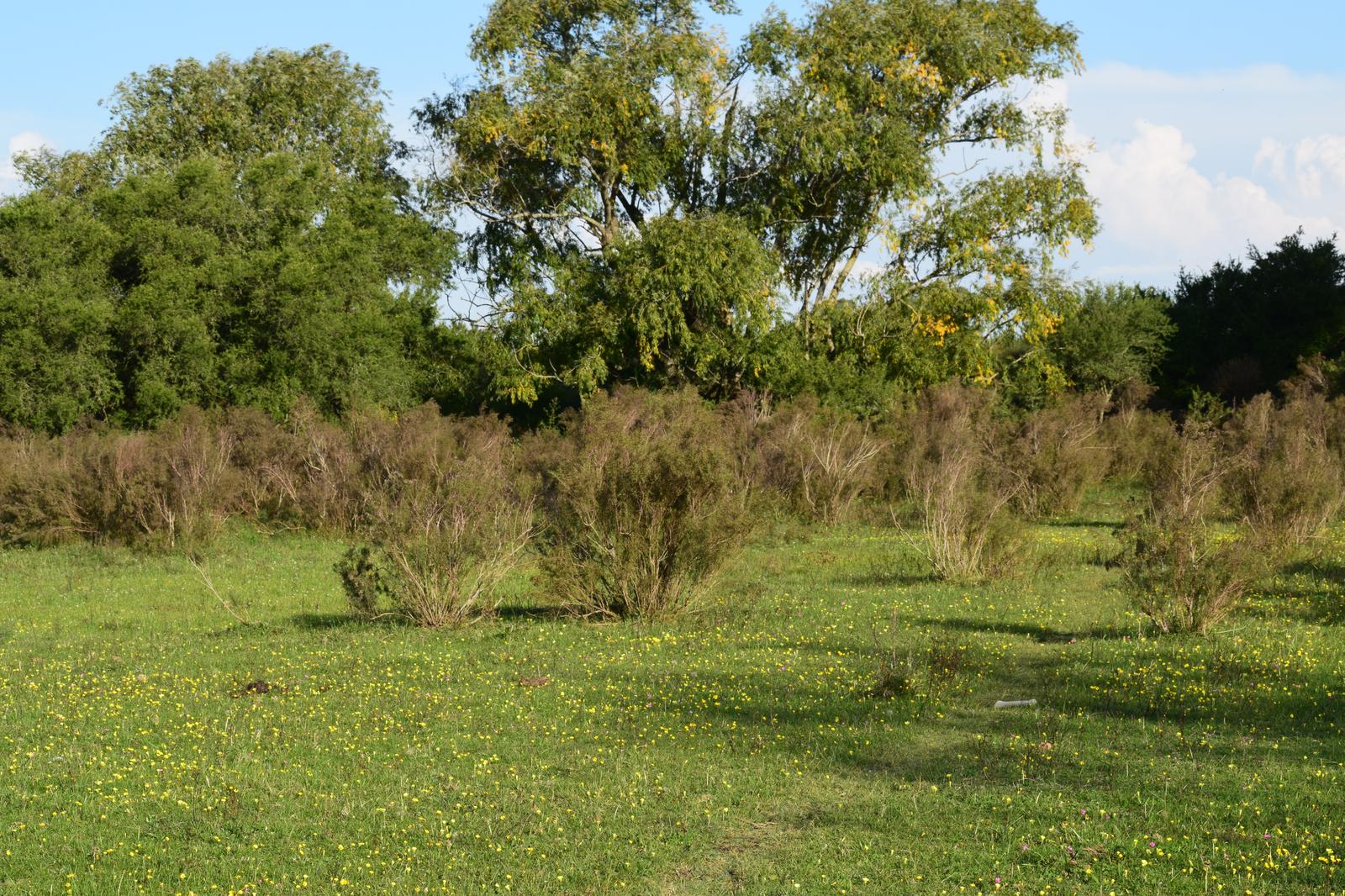 image 23