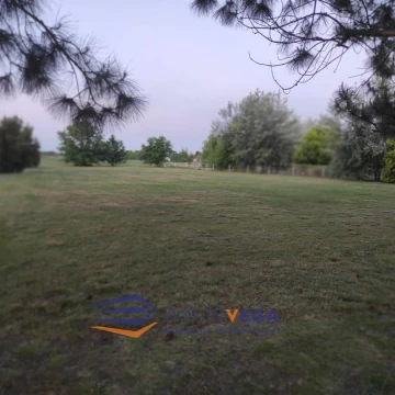1780683872.jpg