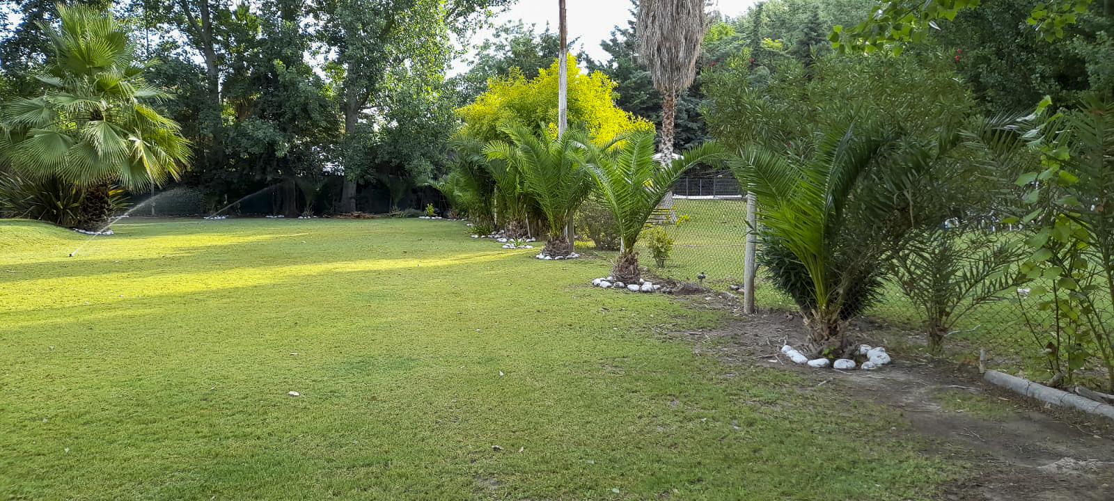 image 34