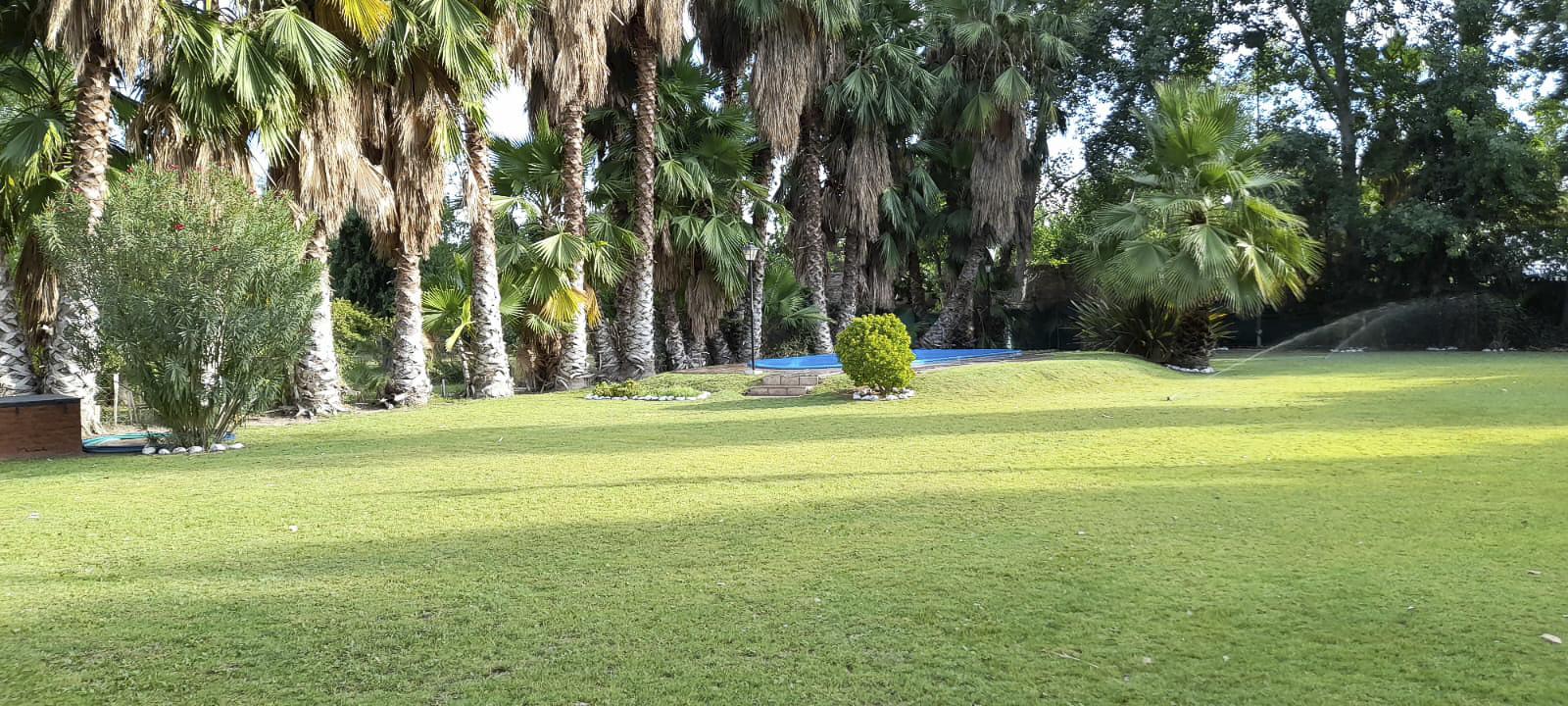 image 37