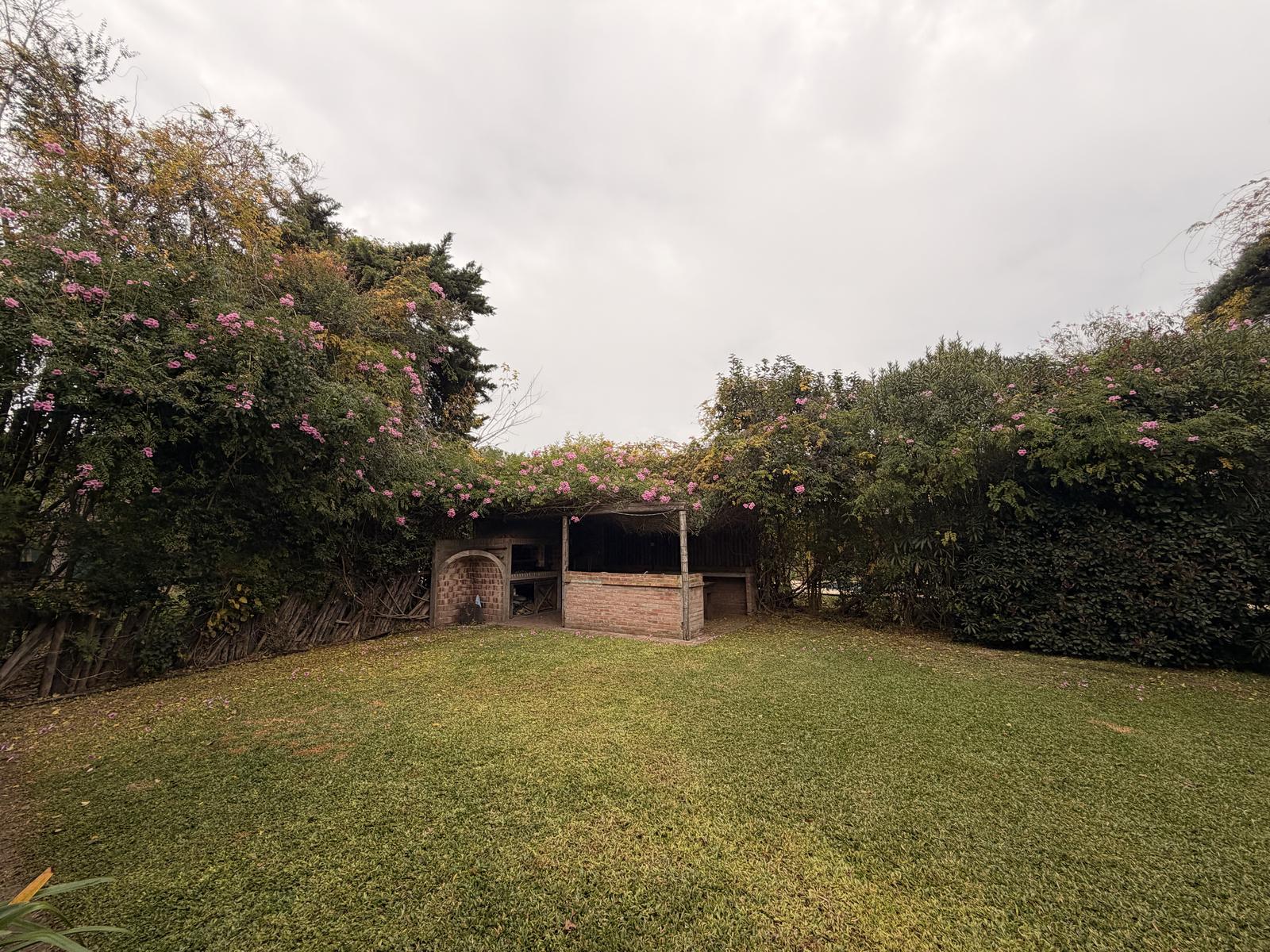 image 28
