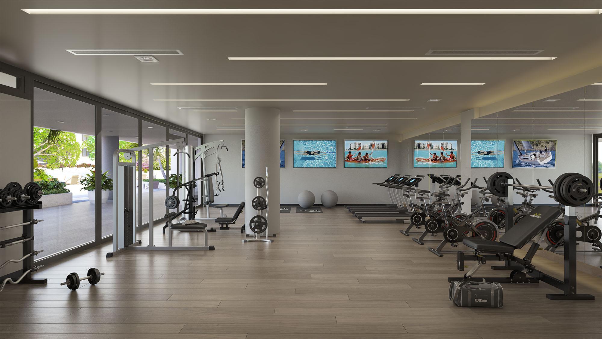 Gimnasio